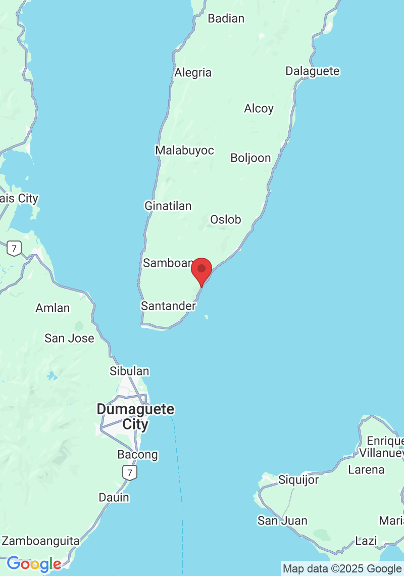F9CM+83V, Oslob, Cebu, Philippines