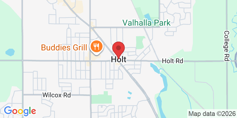 Holt, MI, USA