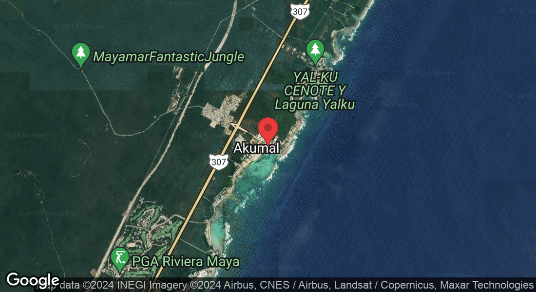 Playa Akumal, Carretera Tulum, Yodzonot, 77776 Cancún, Q.R., Mexico