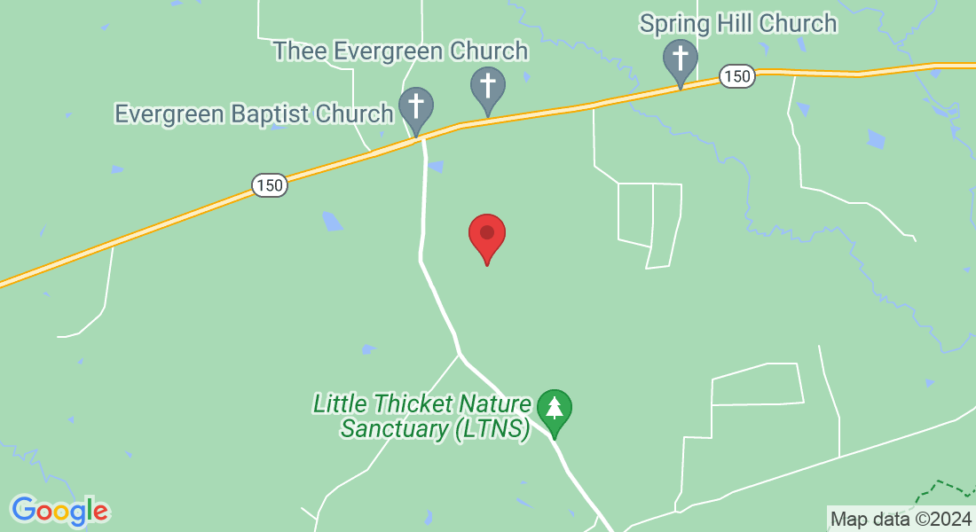 Davis Reed Ln, Texas, USA