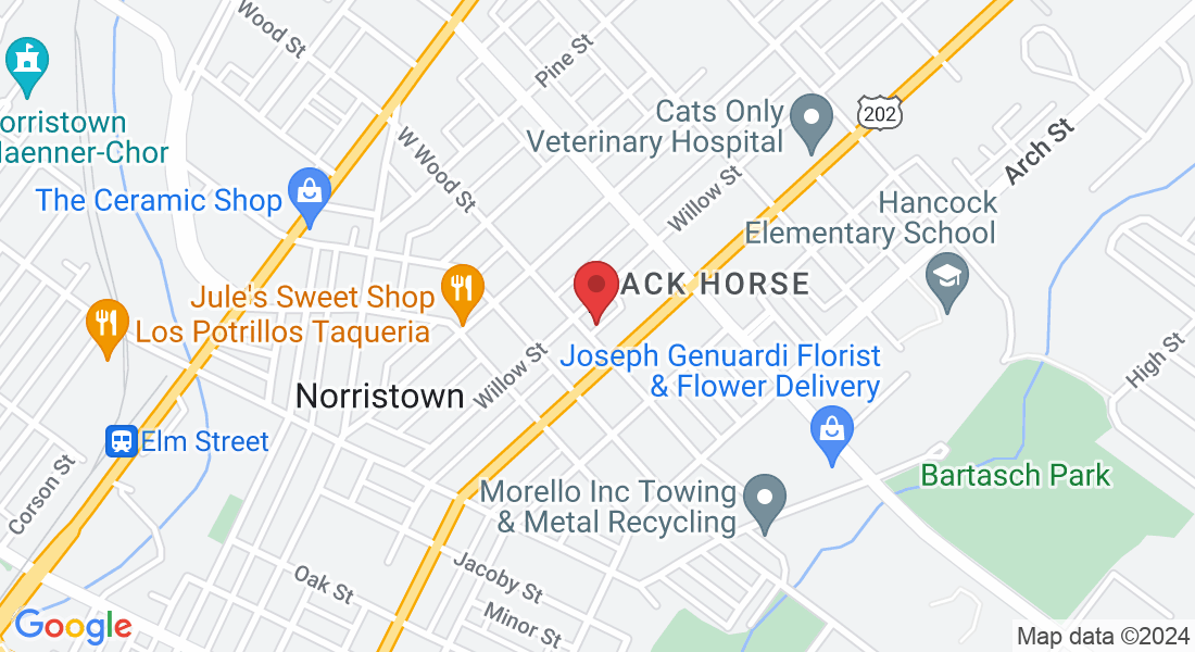 55 E Wood St, Norristown, PA 19401, USA