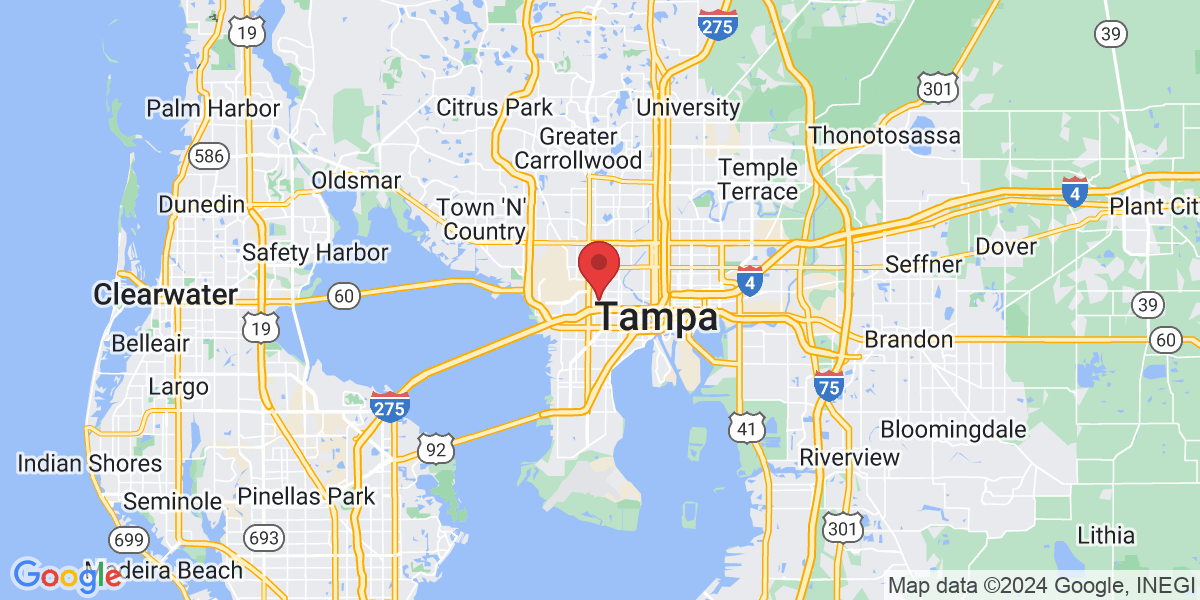 3315 W Pine St, Tampa, FL 33607, USA