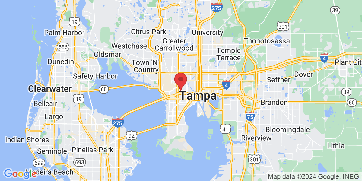 3315 W Pine St, Tampa, FL 33607, USA