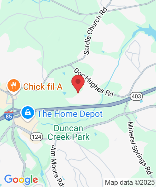4102 Rovello Way NE, Buford, GA 30519, USA