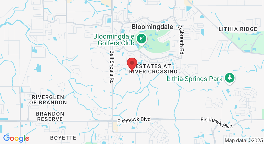 1217 Tiger Wood Ct, Valrico, FL 33596, USA