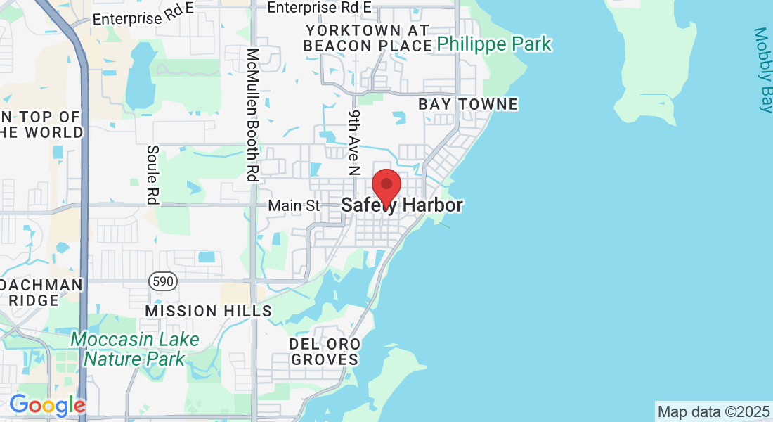 519 2nd St S, Safety Harbor, FL 34695, USA