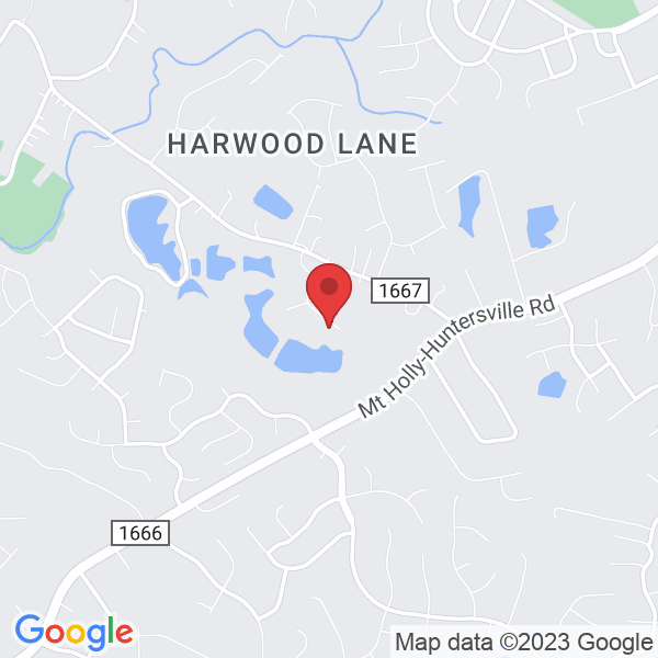 9916 Pollie Little Ln, Charlotte, NC 28214, USA