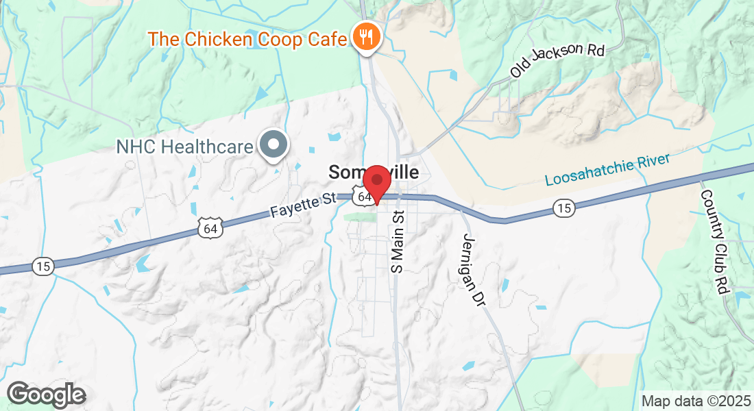 161 W Somerville St, Somerville, TN 38068, USA