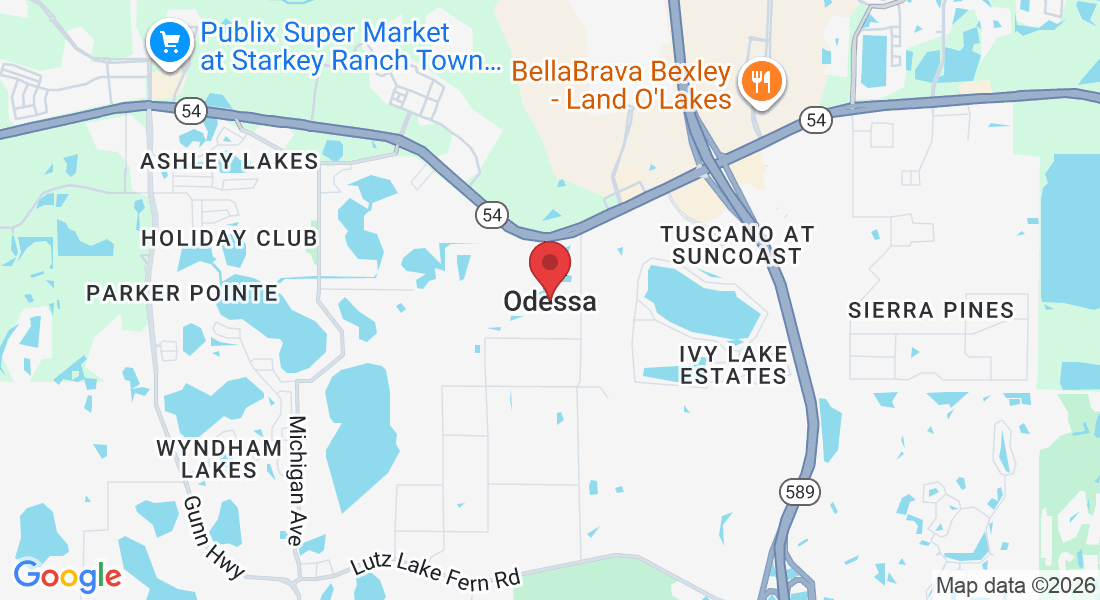 Odessa, FL, USA