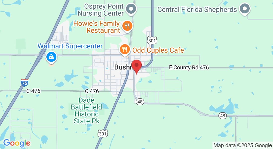 219 E Anderson Ave, Bushnell, FL 33513, USA