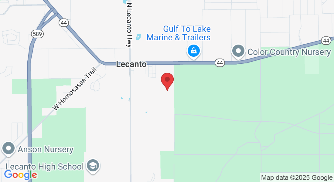 2604 W Woodland Ridge Dr, Lecanto, FL 34461, USA