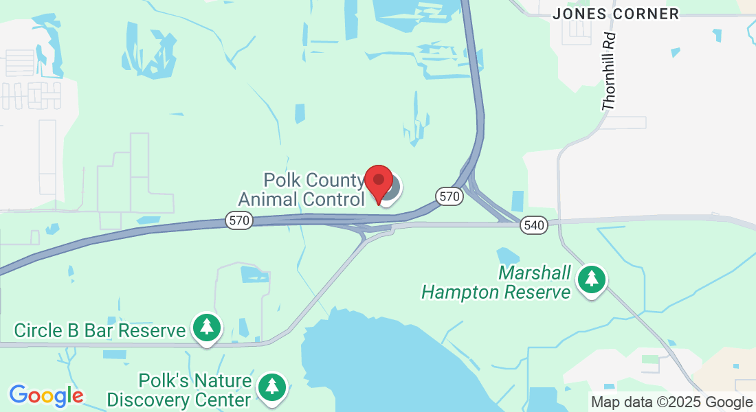 7101 De Castro Rd, Winter Haven, FL 33880, USA
