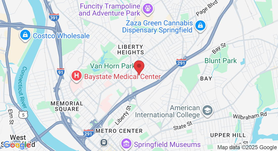 14 Littleton St, Springfield, MA 01104, USA