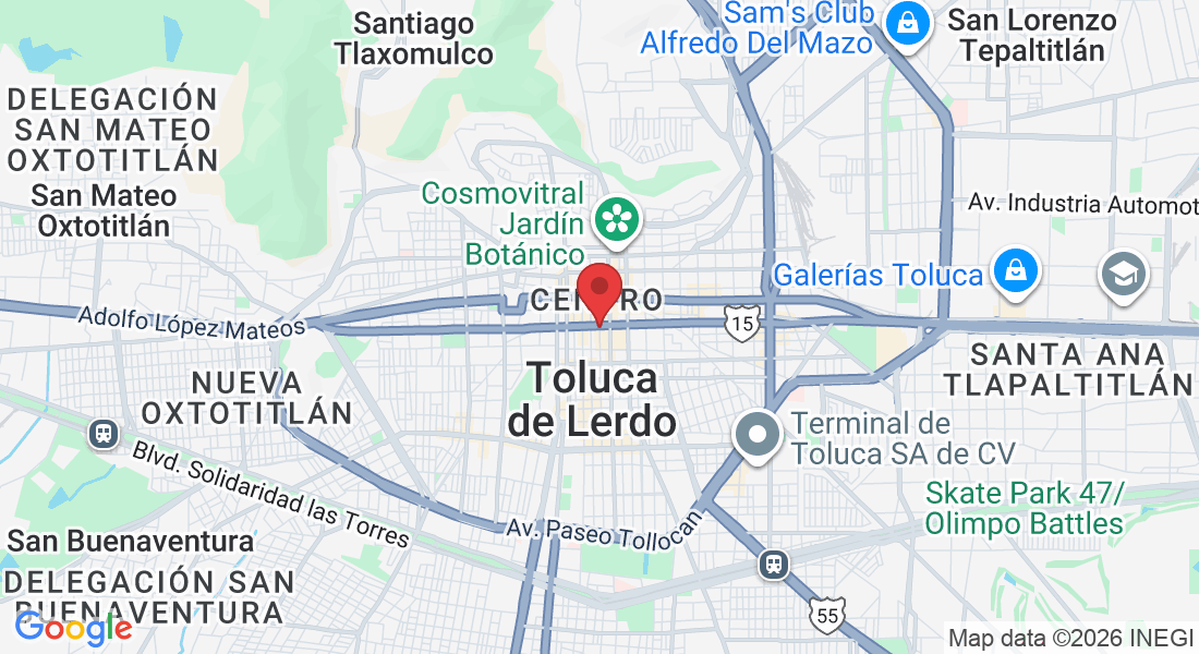 Calle Juan Aldama & Avenida J. M. Morelos Y P, Manzana 018, Centro, 50000 Toluca de Lerdo, Méx., México