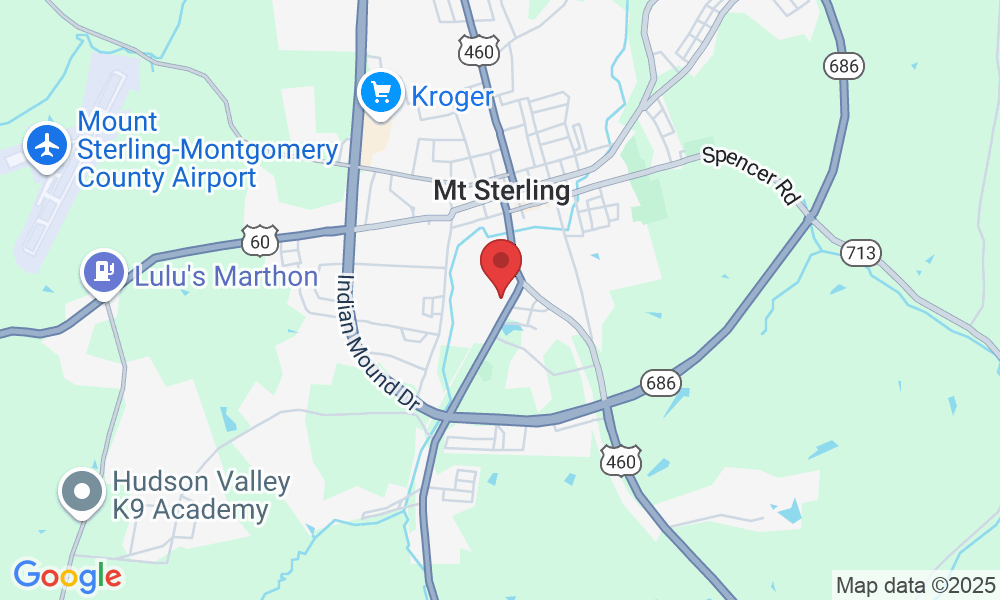 113 Maloney Way, Mt Sterling, KY 40353, USA