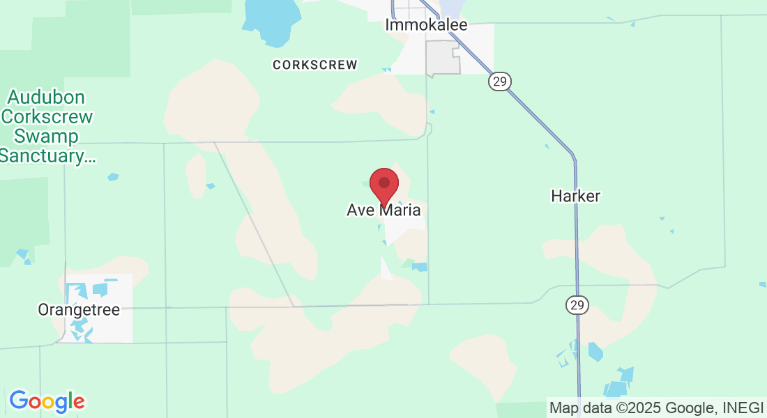 Ave María, Florida 34142, EE. UU.