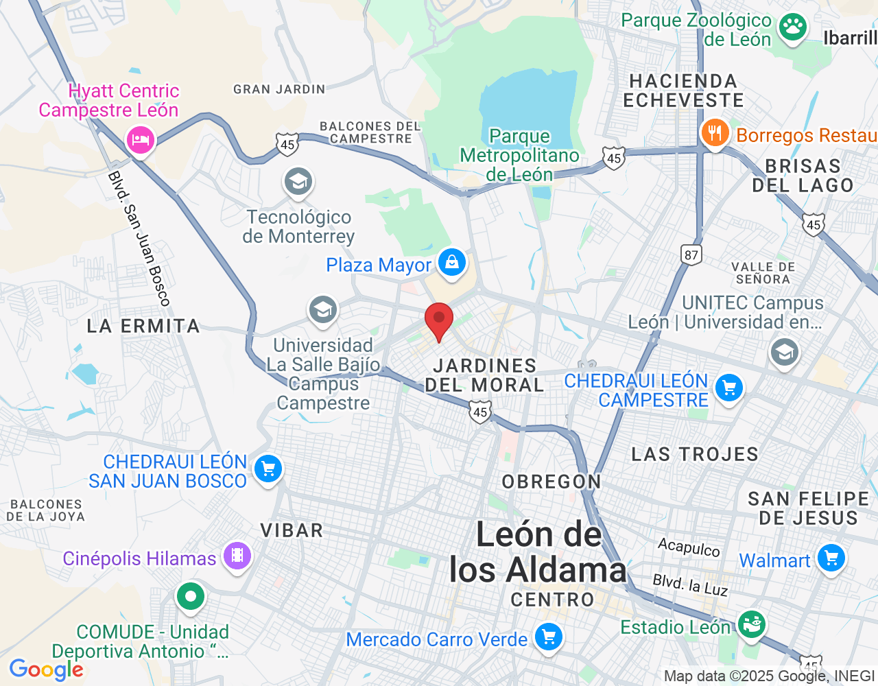 C. Constructores 112, Panorama, 37160 León de los Aldama, Gto., México