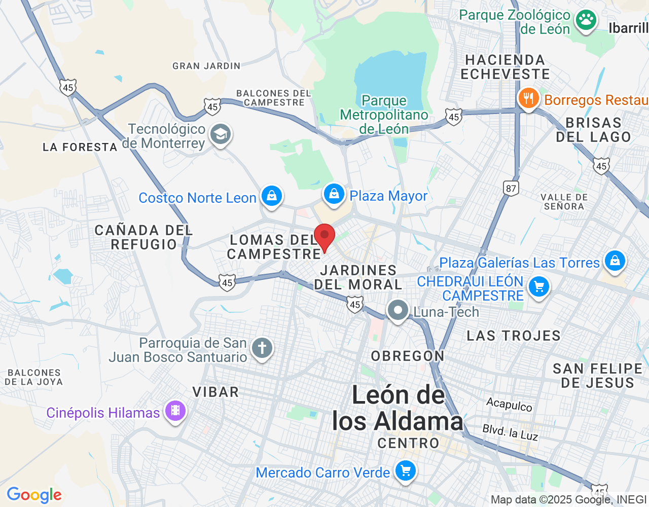 C. Constructores 112, Panorama, 37160 León de los Aldama, Gto., México