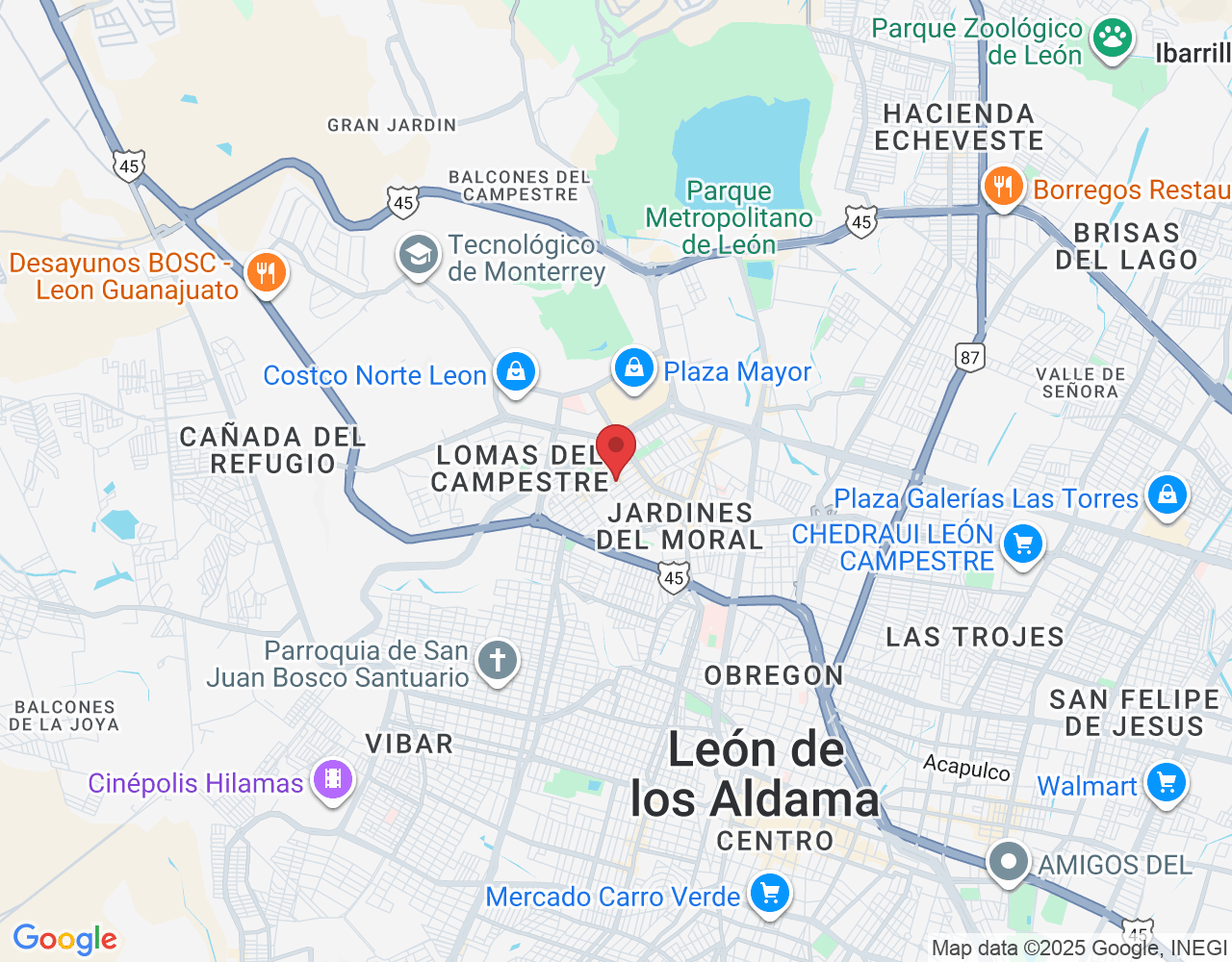 C. Constructores 112, Panorama, 37160 León de los Aldama, Gto., México