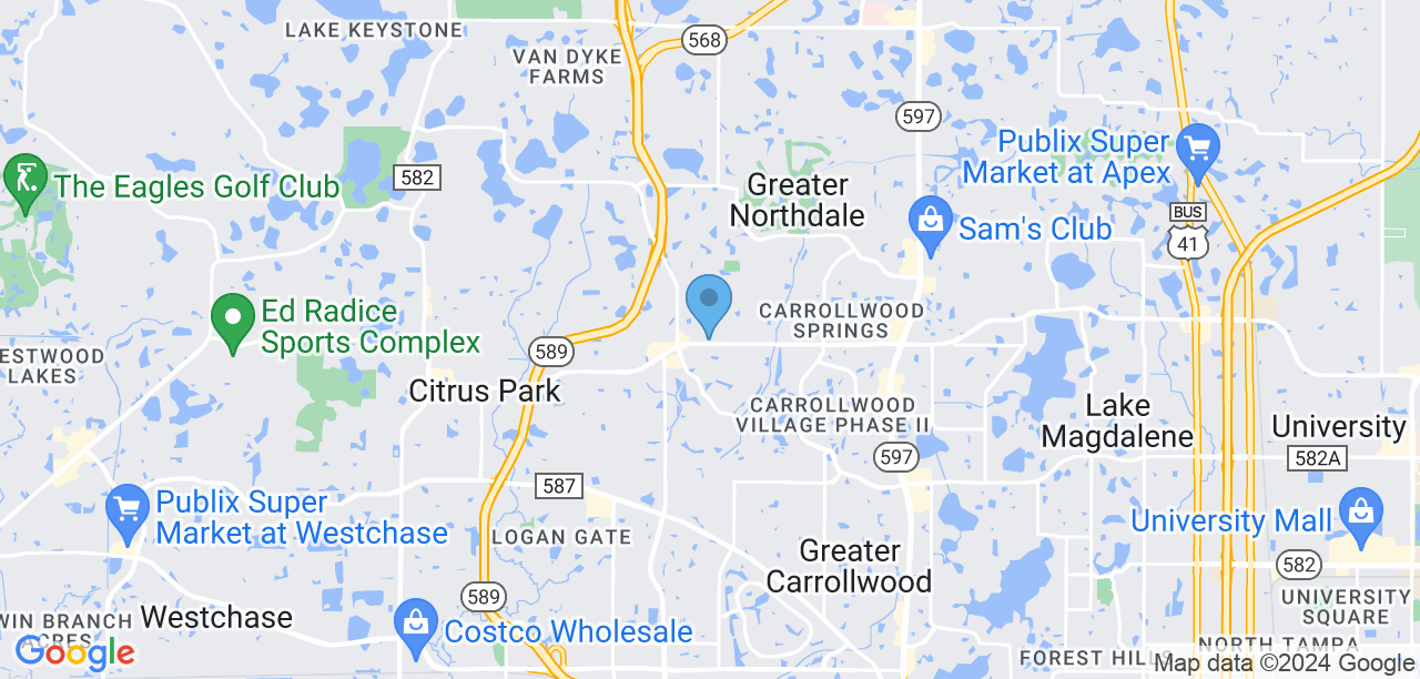 5111 Ehrlich Rd, Tampa, FL 33624, USA