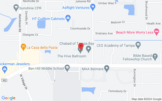 5111 Ehrlich Rd ste 128, Tampa, FL 33624, USA