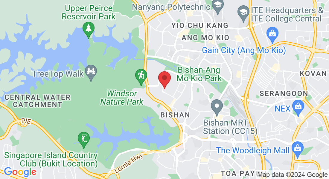 22 Sin Ming Ln, Singapore 573969