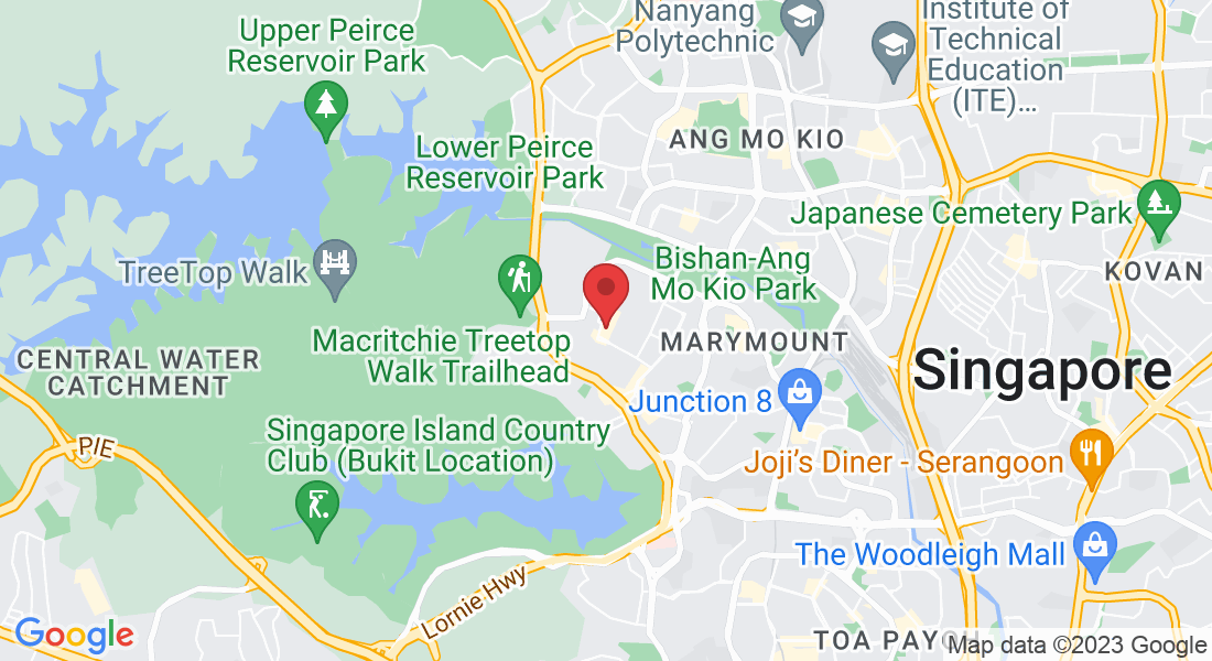 22 Sin Ming Ln, Singapore 573969