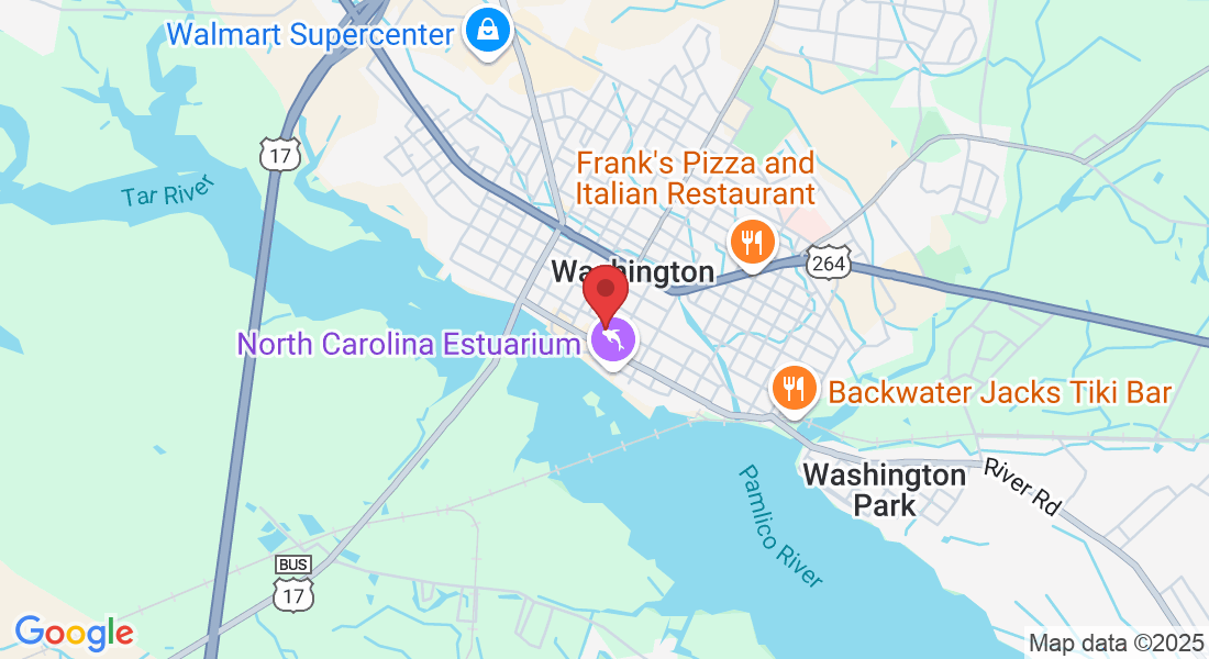 149 N Market St, Washington, NC 27889, USA
