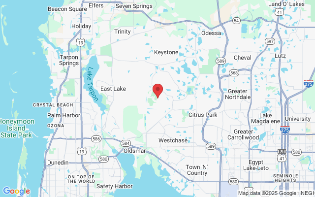 16007 Muirfield Dr, Odessa, FL 33556, USA