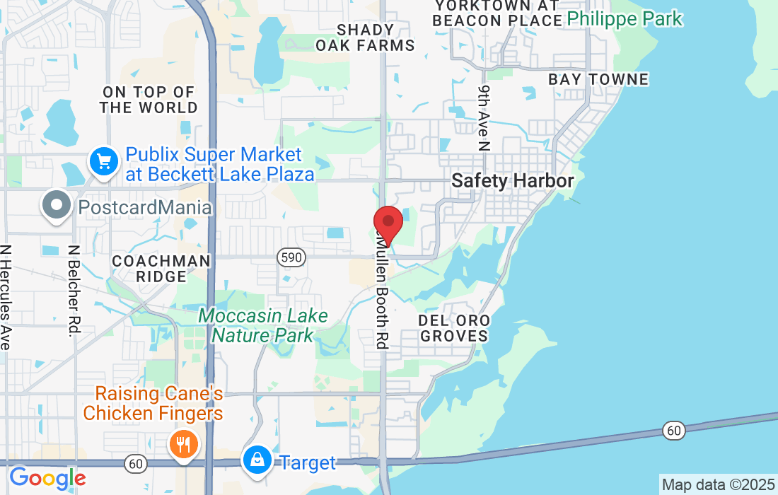 1703 McMullen Booth Rd, Clearwater, FL 33759, USA