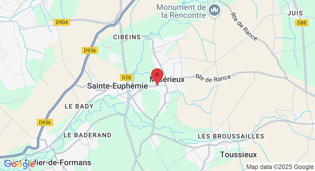 230 Rue du Chanay, 01600 Misérieux, France