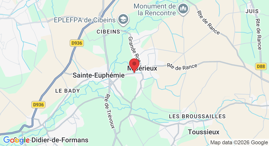 230 Rue du Chanay, 01600 Misérieux, France