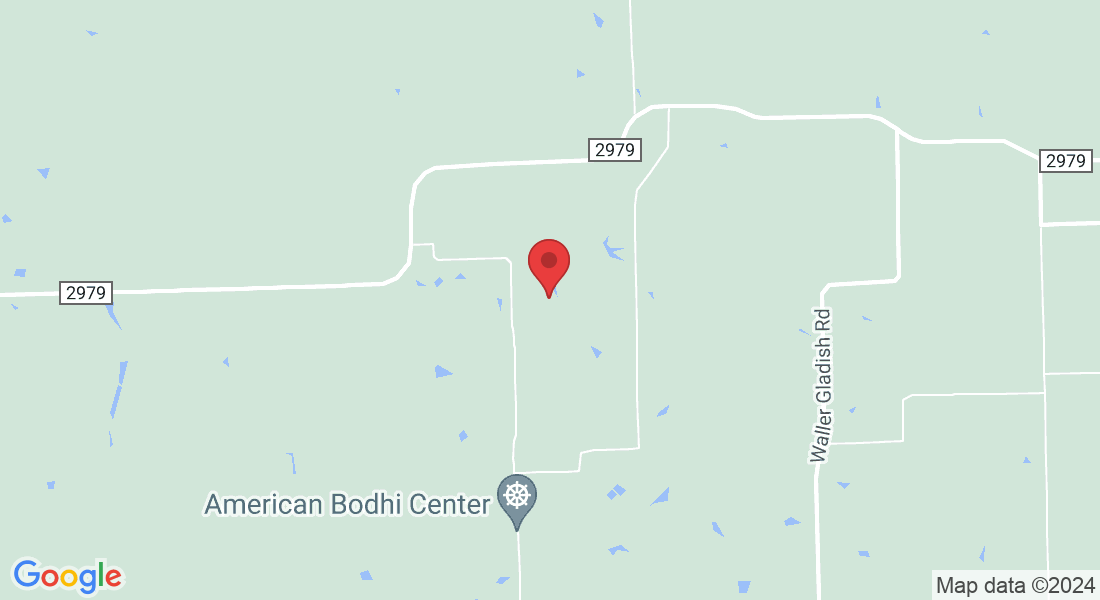 29028 W Lake Dr, Hempstead, TX 77445, USA