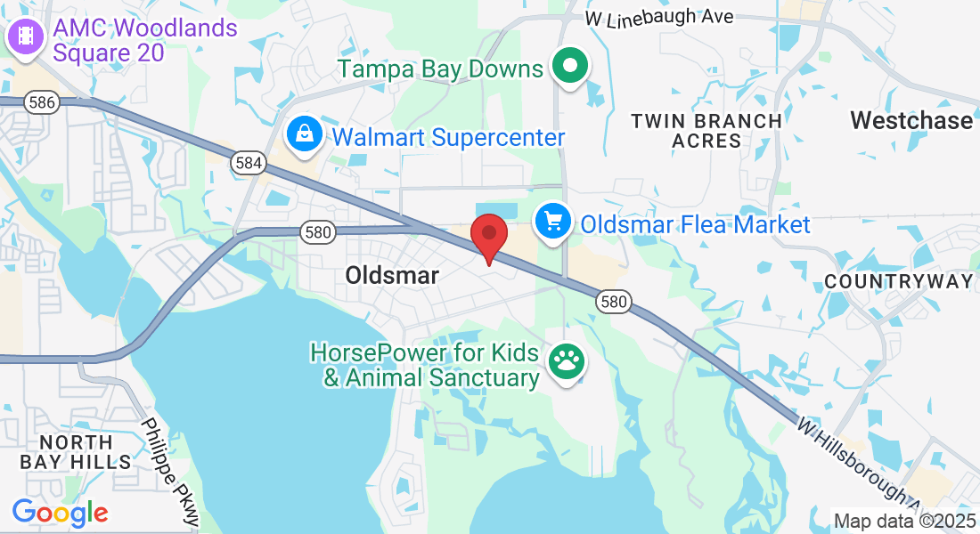 4040 Tampa Rd, Oldsmar, FL 34677, USA