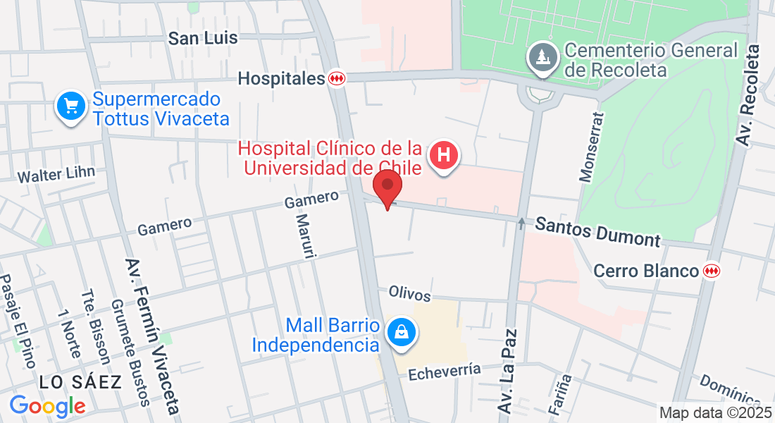 Dr. Carlos Lorca Tobar 1090, Independencia, Región Metropolitana, Chile