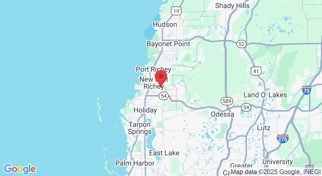 NEW PT RICHEY, FL 34653, USA