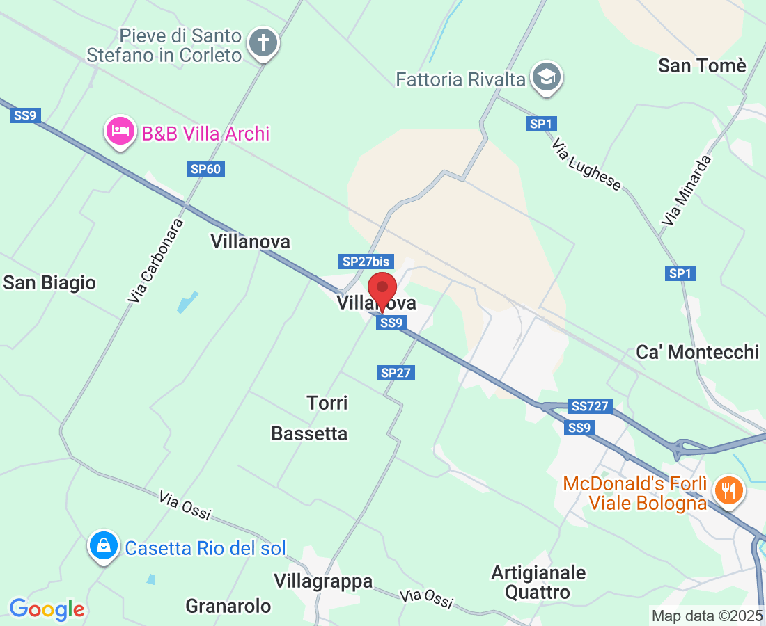 Viale Bologna, 346, 47122 Villanova FC, Italia
