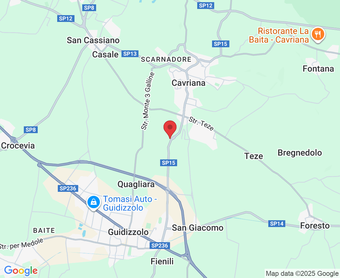 Via Guidizzolo, 10, 46040 Cavriana MN, Italy