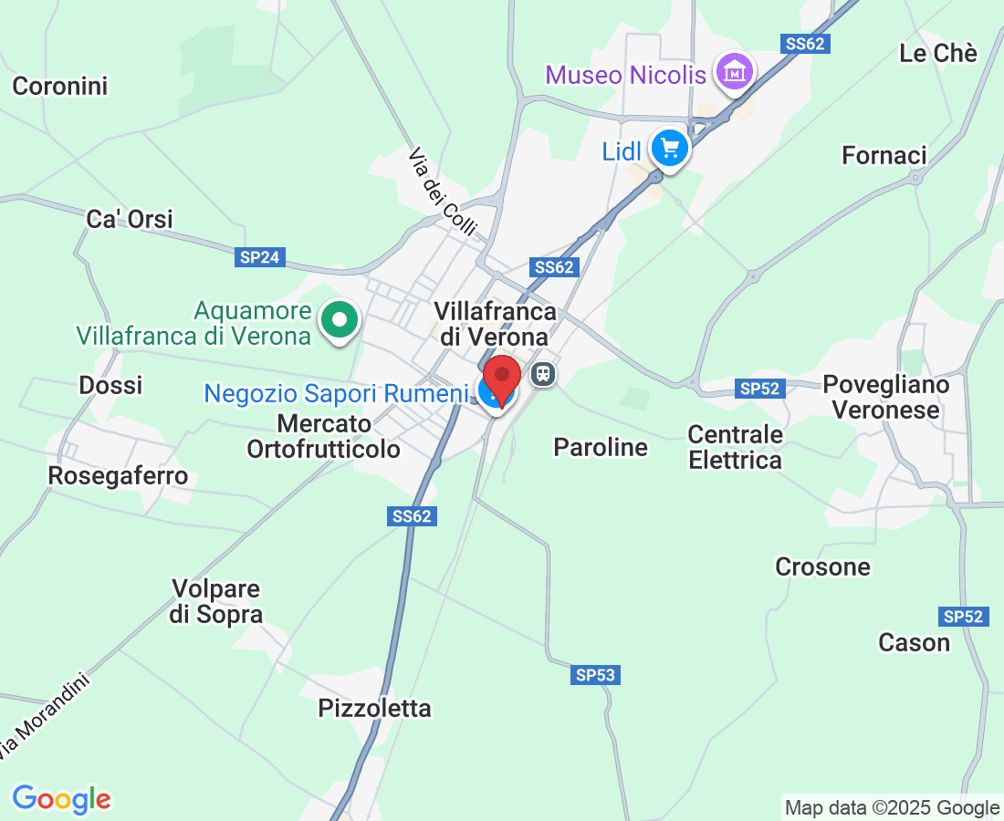 Via Messedaglia, 301, 37069 Villafranca di Verona VR, Italy