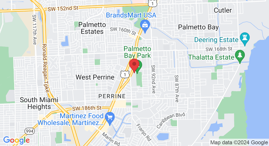 9555 SW 175th Terrace, Palmetto Bay, FL 33157, USA