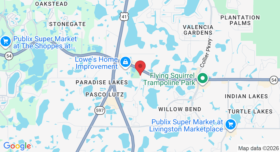 2029 Osprey Ln, Lutz, FL 33549, USA
