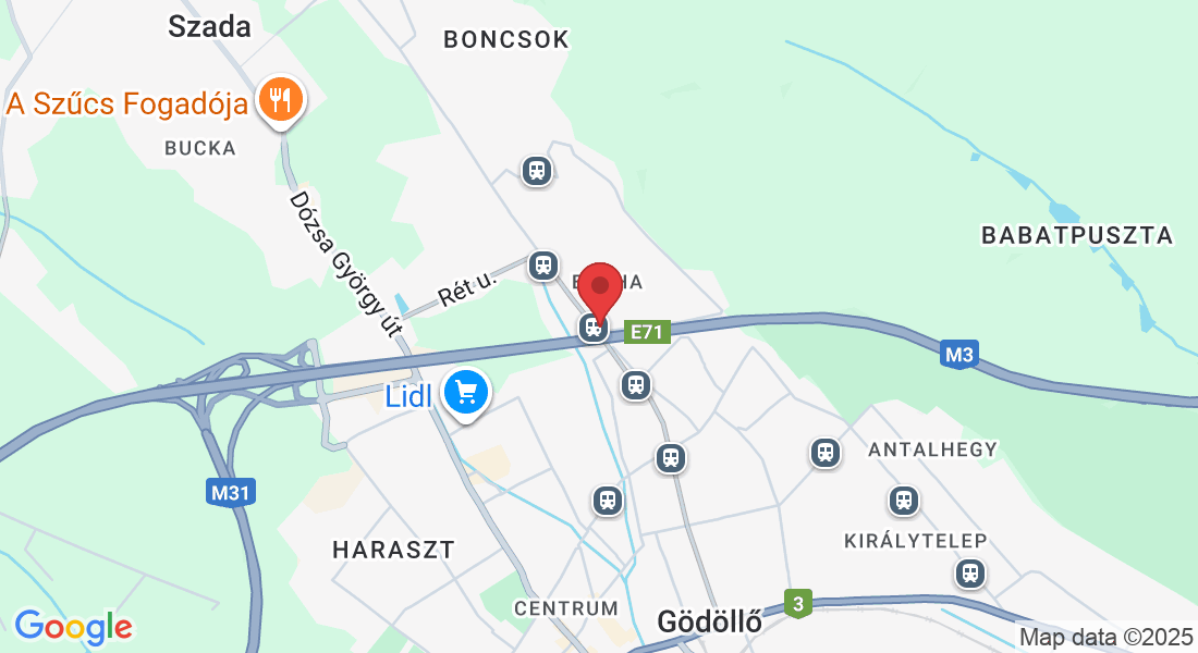 Gödöllő, Blaháné u. 2, 2100 Magyarország