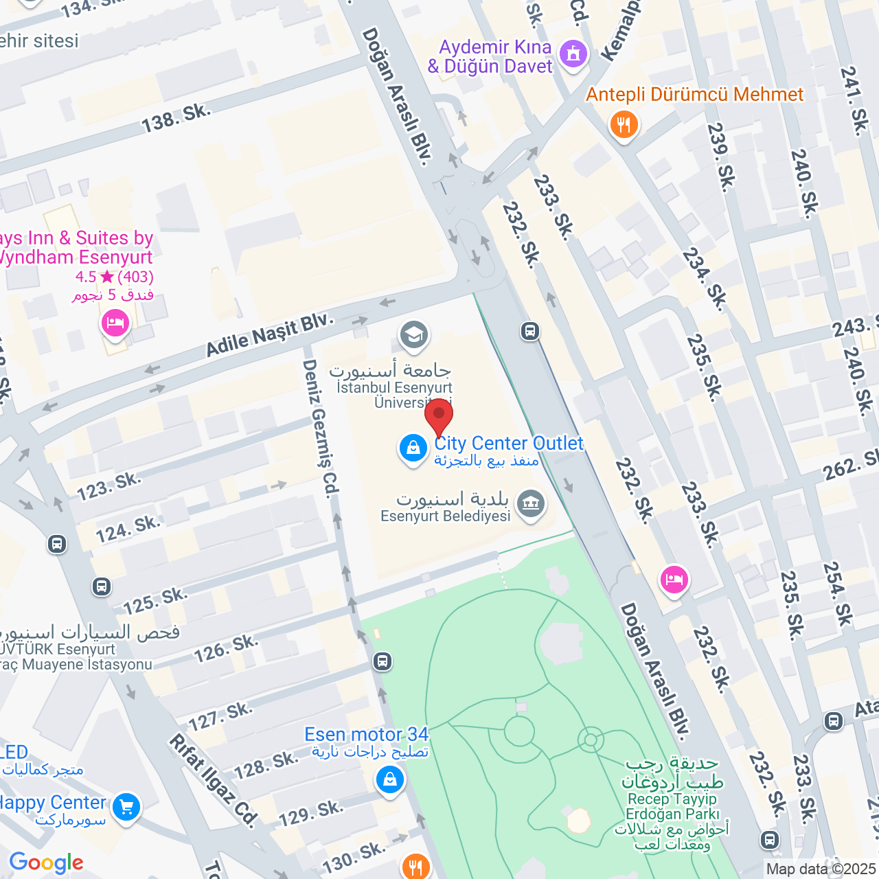 Ardıçlı, Doğan Araslı Blv. No:79, 34510 Esenyurt/İstanbul, تركيا