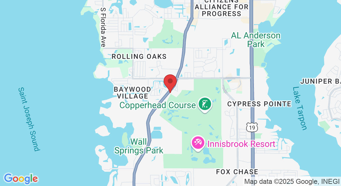 4824 US-19 ALT, Palm Harbor, FL 34683, USA
