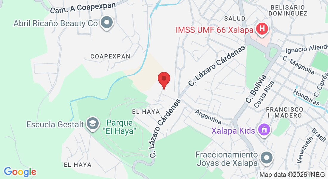 Eucaliptos 28, Benito Juárez, 91056 Xalapa-Enríquez, Ver., México