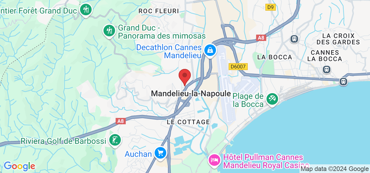 61 Rue Charles de Mouchy, 06210 Mandelieu-la-Napoule, France