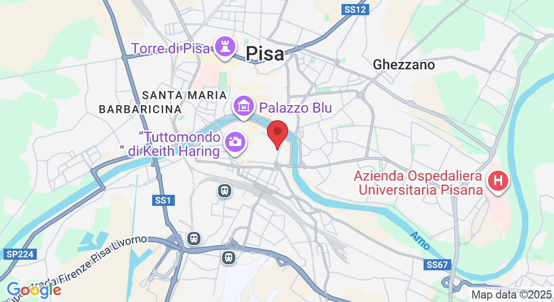 Via Antonio Ceci, 6, 56125 Pisa PI, Italia