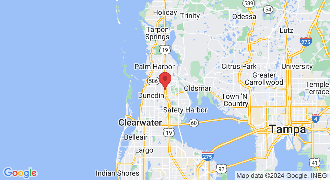28414 US Hwy 19 N, Clearwater, FL 33761, USA