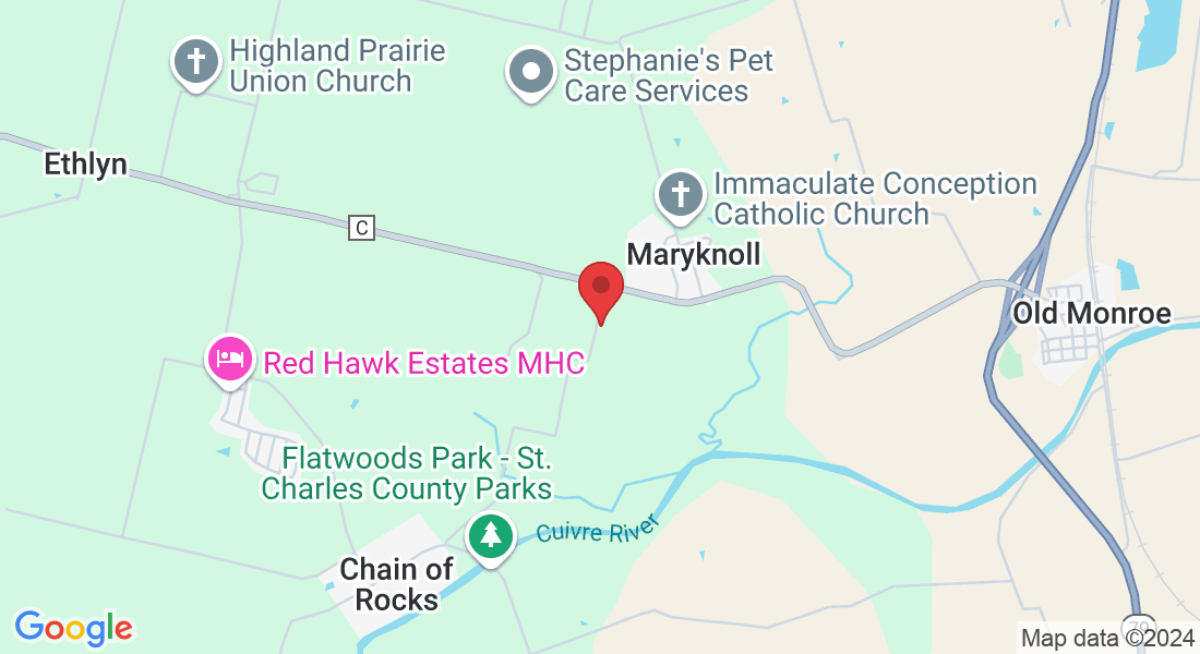 124 St Marys Ct, Old Monroe, MO 63369, USA