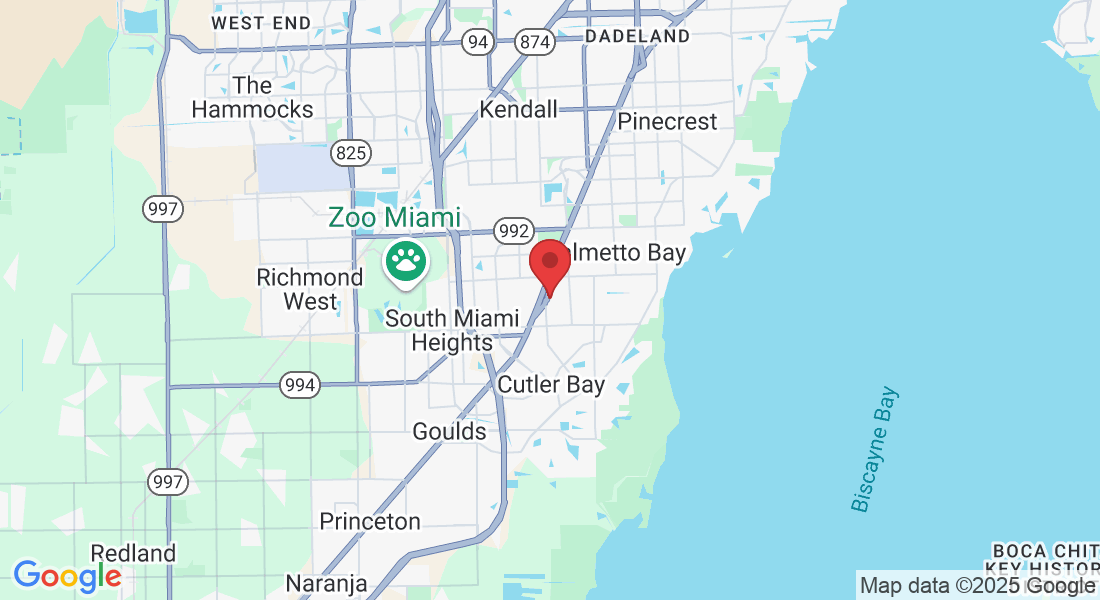 9555 SW 175th Terrace, Palmetto Bay, FL 33157, USA